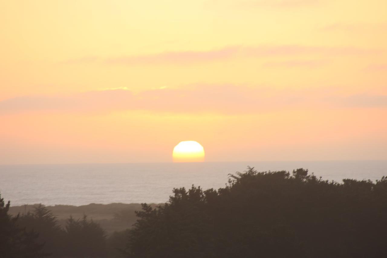 Cabanas Grulla Pichilemu Exteriör bild