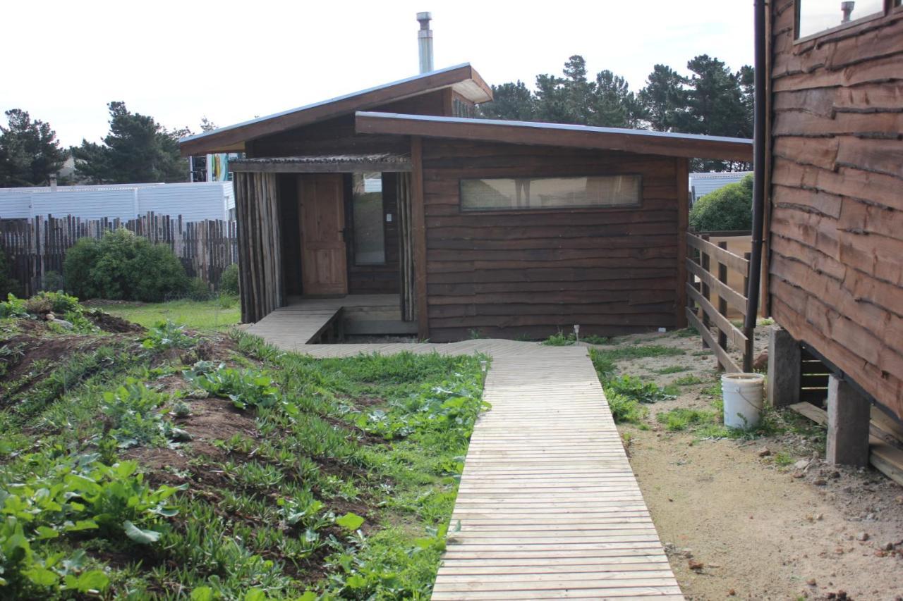 Cabanas Grulla Pichilemu Exteriör bild