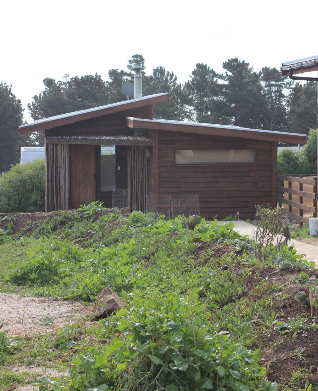 Cabanas Grulla Pichilemu Exteriör bild