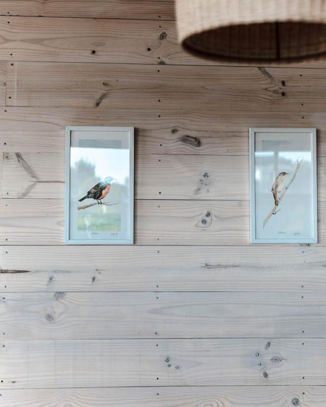 Cabanas Grulla Pichilemu Exteriör bild