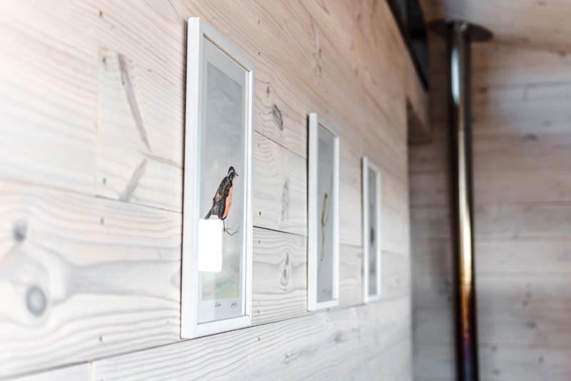 Cabanas Grulla Pichilemu Exteriör bild