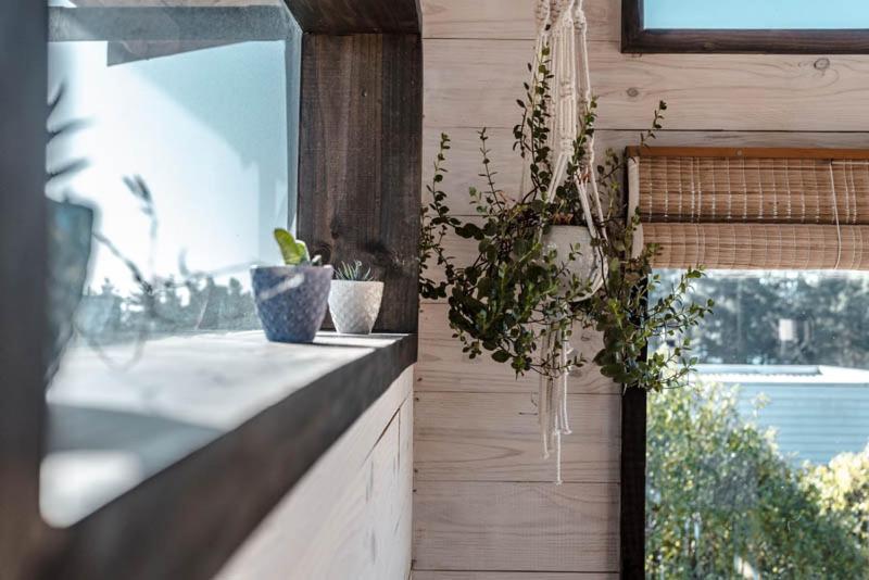 Cabanas Grulla Pichilemu Exteriör bild